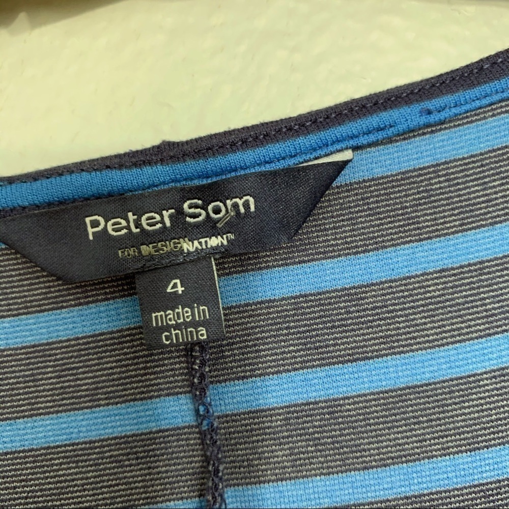 PETER SOM DESIGN NATION Striped Fit & Flare Dress - Picture 6 of 7